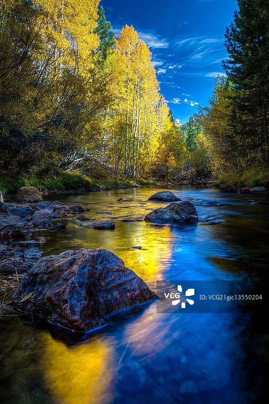 白杨倒影图片素材