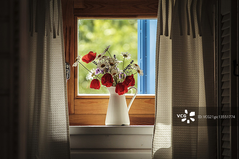 匈牙利的村舍图片素材