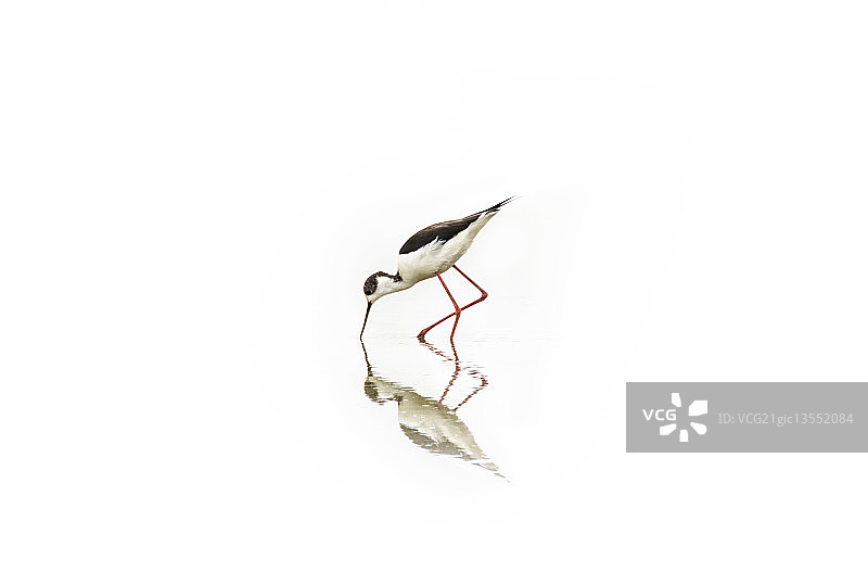 西班牙埃姆普里亚布拉瓦图片素材