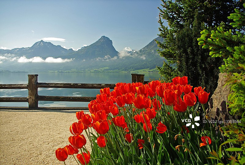 圣沃尔夫冈的春天图片素材