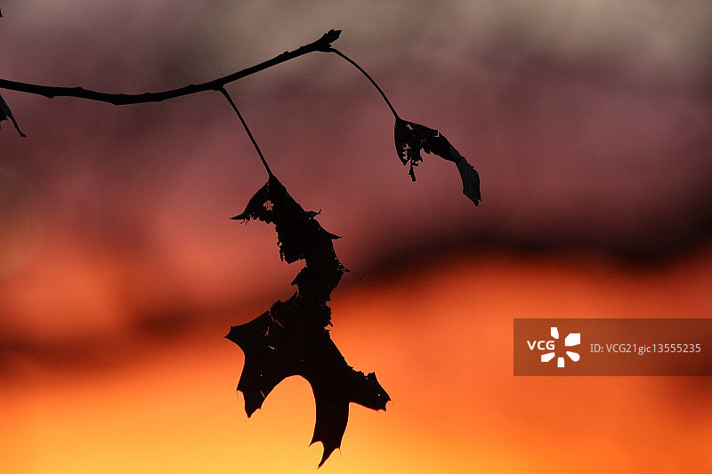 年轻的…从前！图片素材