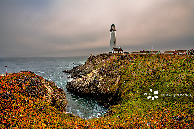 鸽子点灯塔图片素材