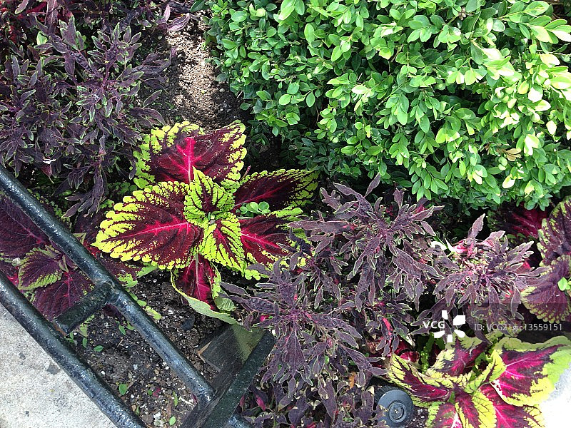 克里斯琴斯堡的道路附近图片素材