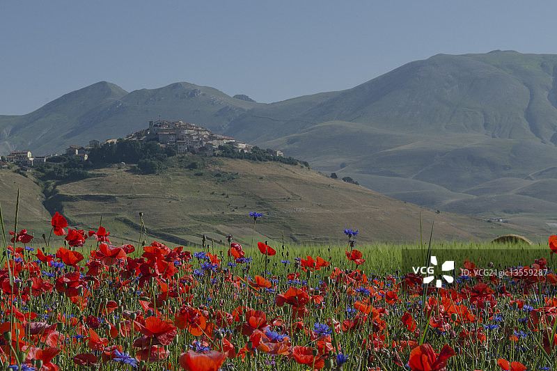 卡斯特卢乔图片素材