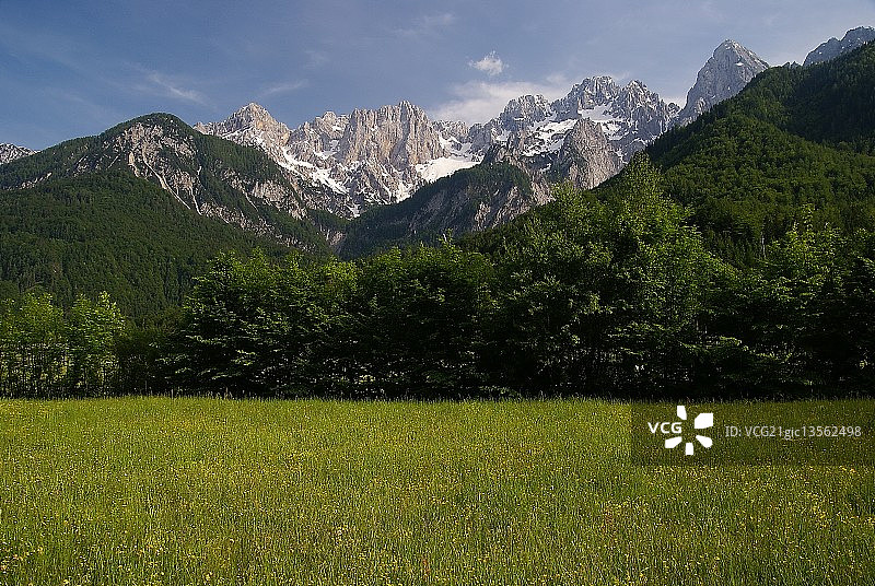 美丽的戈雷尼斯卡图片素材