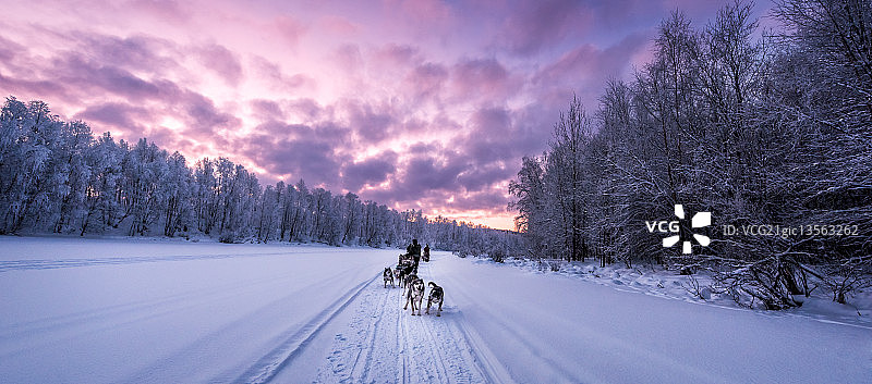 加油哈士奇队...图片素材