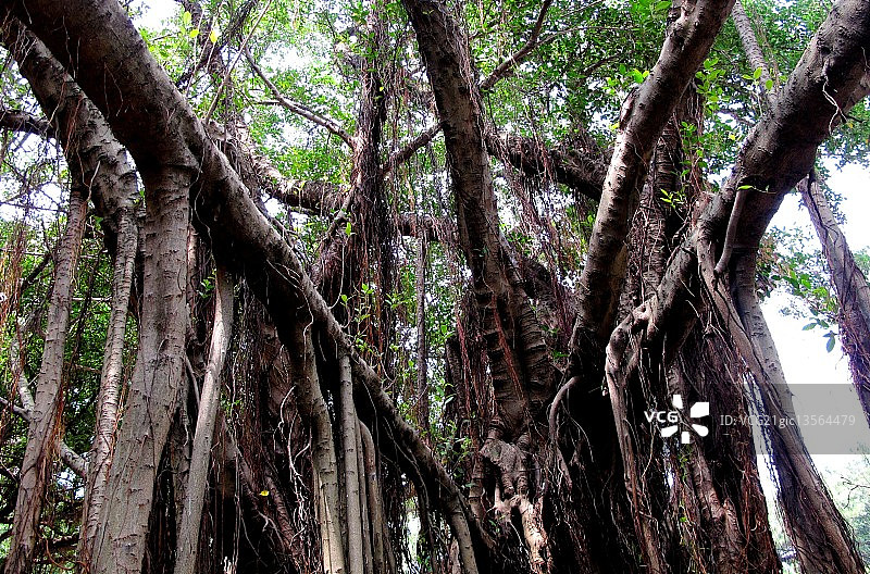 中国台湾新竹图片素材
