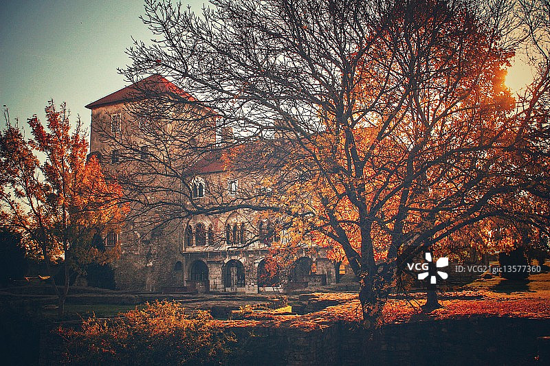 晨光下的城堡花园图片素材