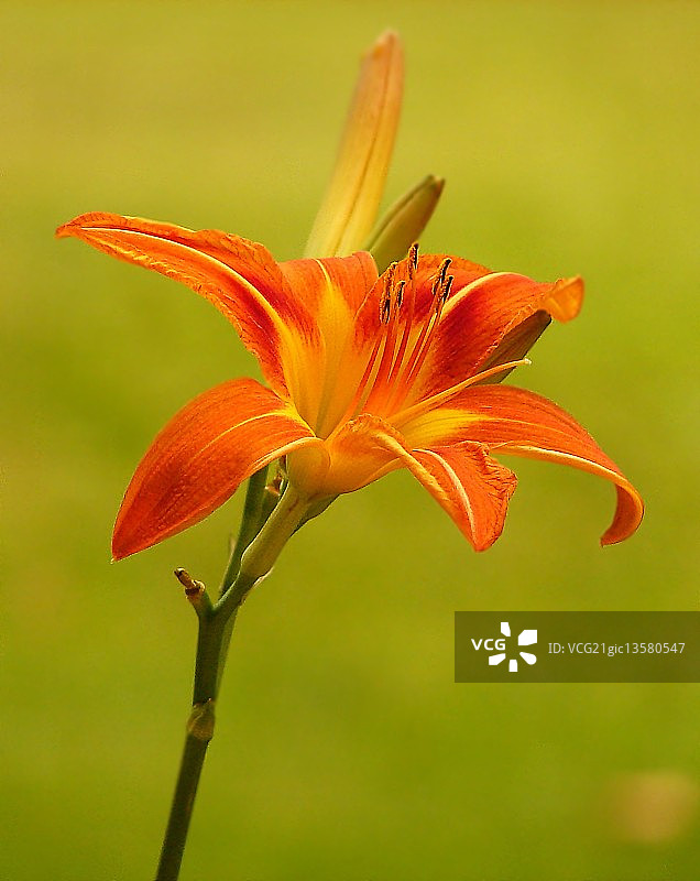 加拿大埃德蒙顿图片素材