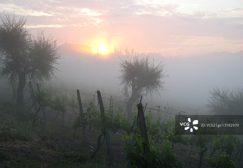 日出雾图片素材