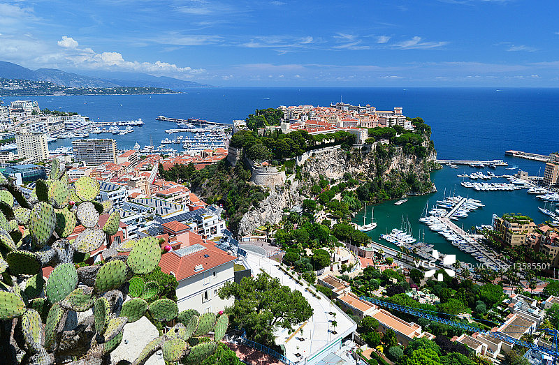 从植物园眺望摩纳哥景色图片素材