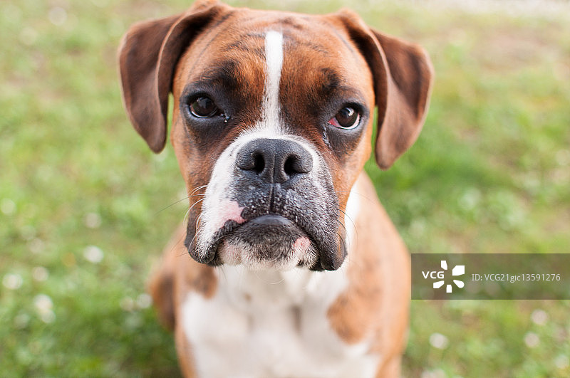 什么？图片素材