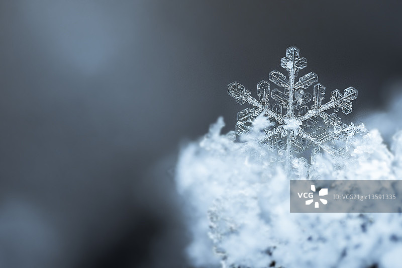 水晶雪花图片素材