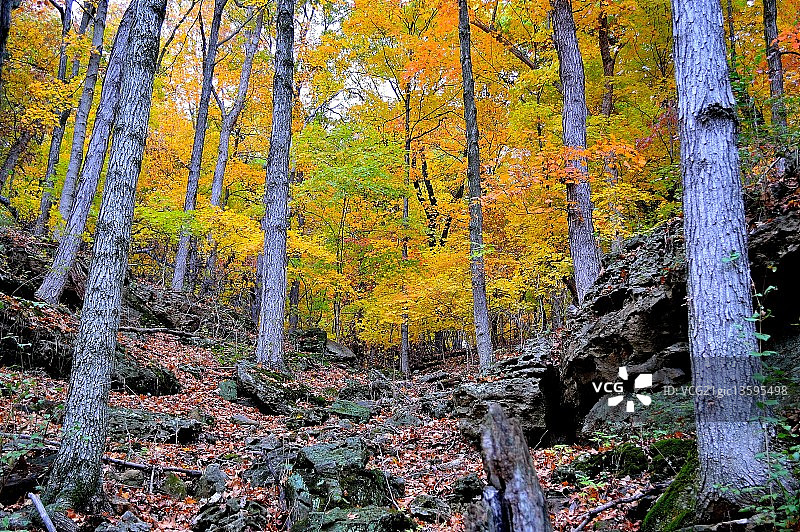 秋季的顶峰图片素材