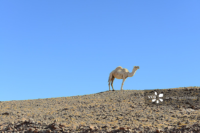 Al Hijin图片素材