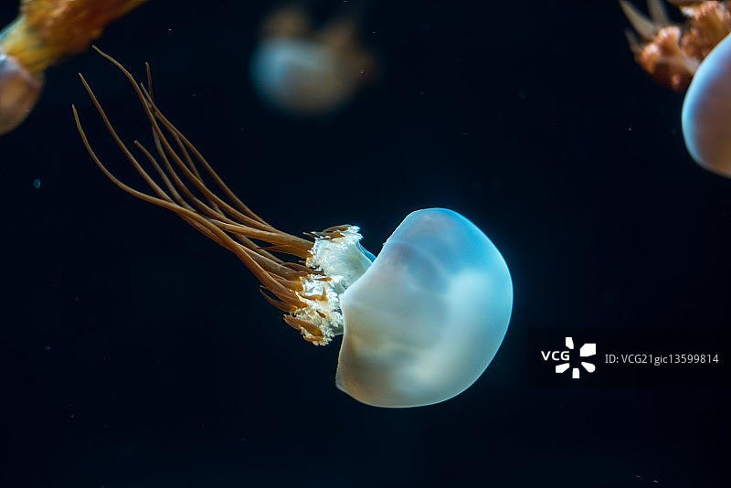 无标题的图片素材