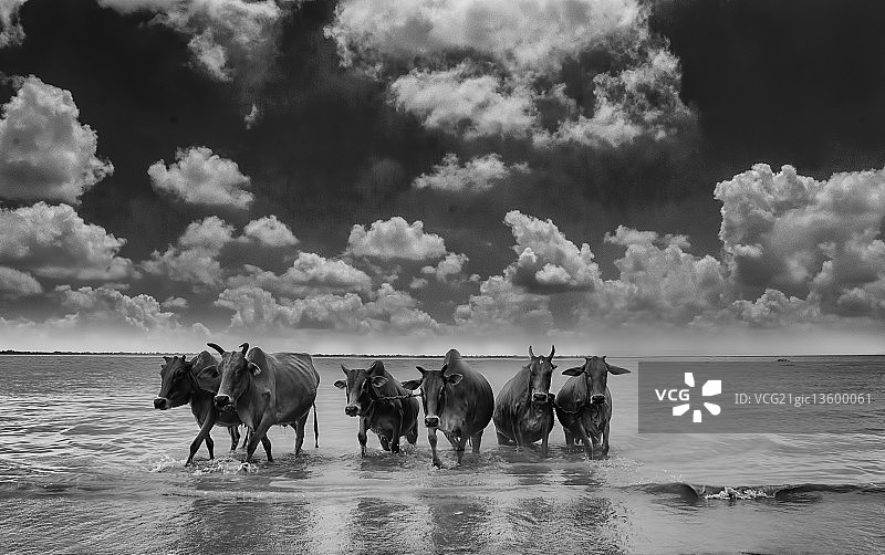 幸存者图片素材