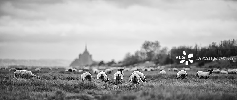法国勒维维耶图片素材
