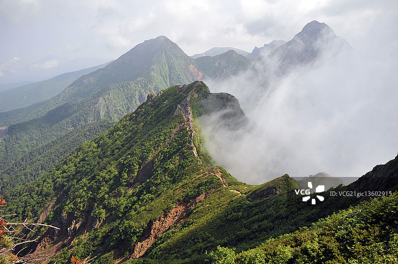 摄影师：Shingo .N图片素材