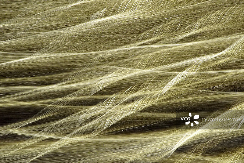 灯丝 #1图片素材