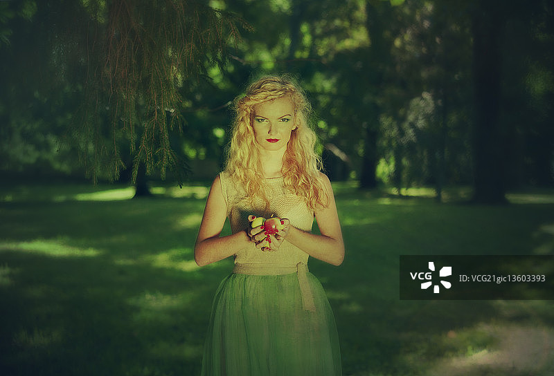 森林仙女图片素材