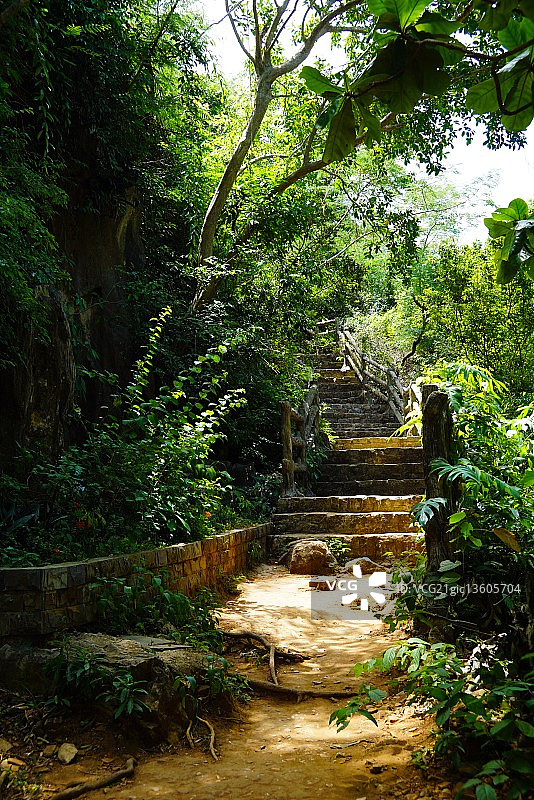 被遗忘的铁轨图片素材