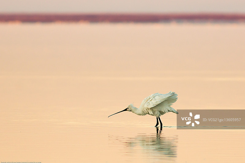 葡萄牙阿尔科谢特图片素材