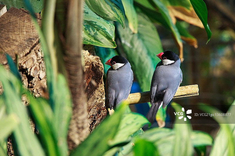 有人在看吗？图片素材