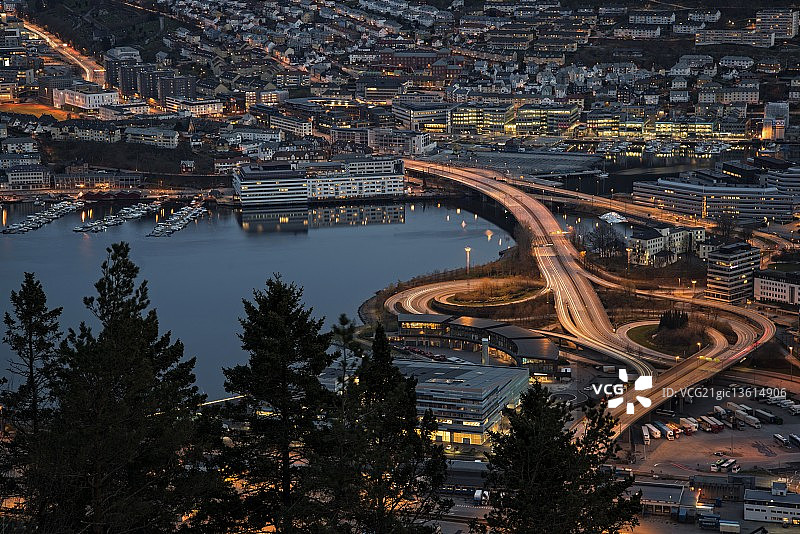 三叶草叶子图片素材