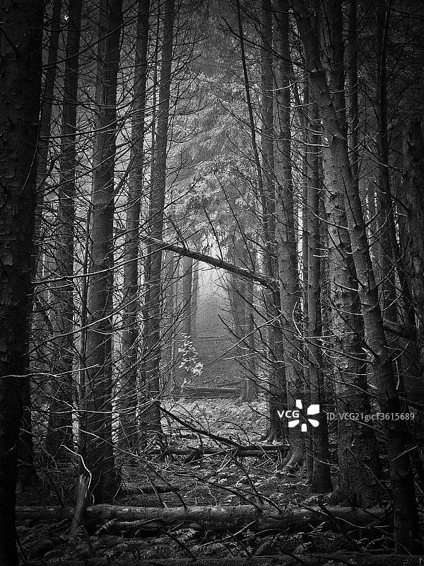 奥伯龙走廊图片素材