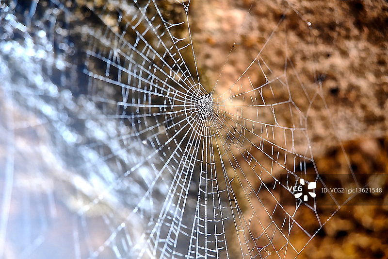 圣费利切奇尔切奥-山羊洞-蜘蛛网图片素材