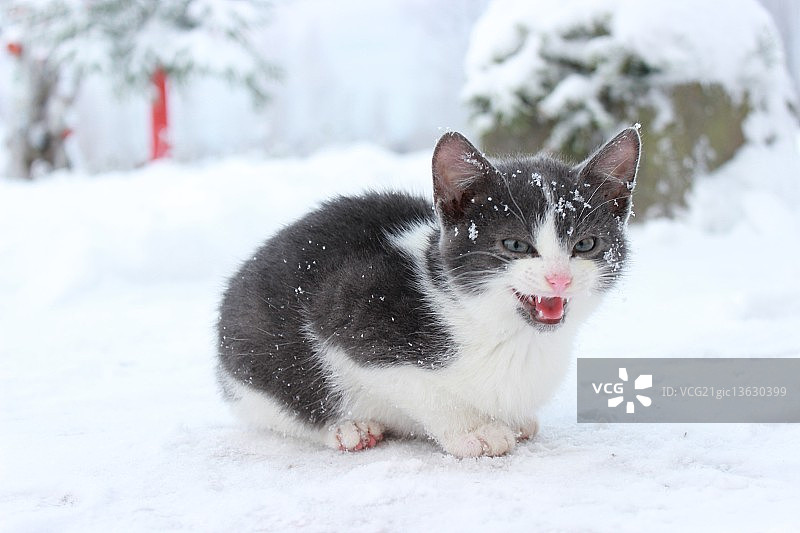 我好冷！图片素材