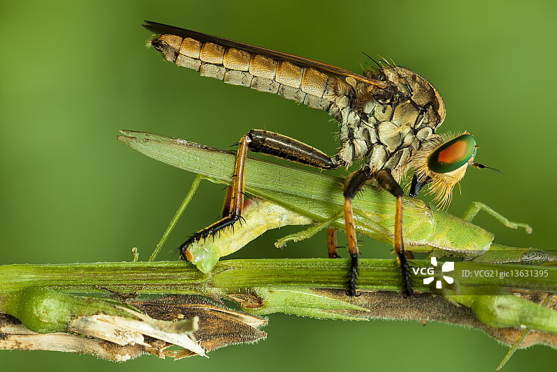 不平衡图片素材