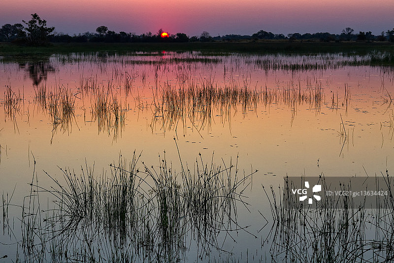 奥卡万戈三角洲的日落图片素材