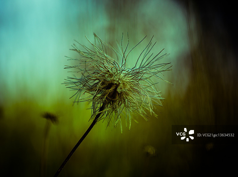 易拉宝图片素材