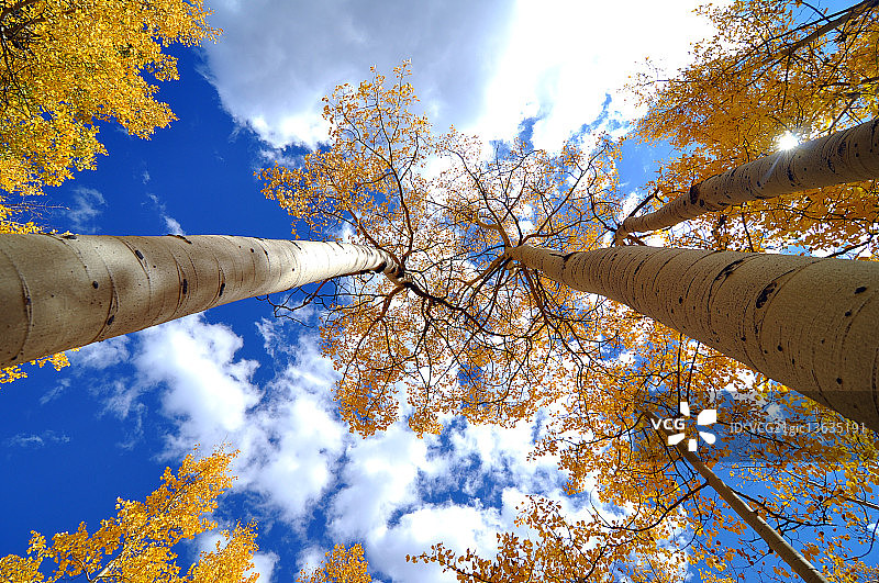 基诺沙山口的色彩图片素材