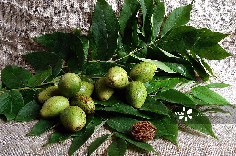 核桃…图片素材