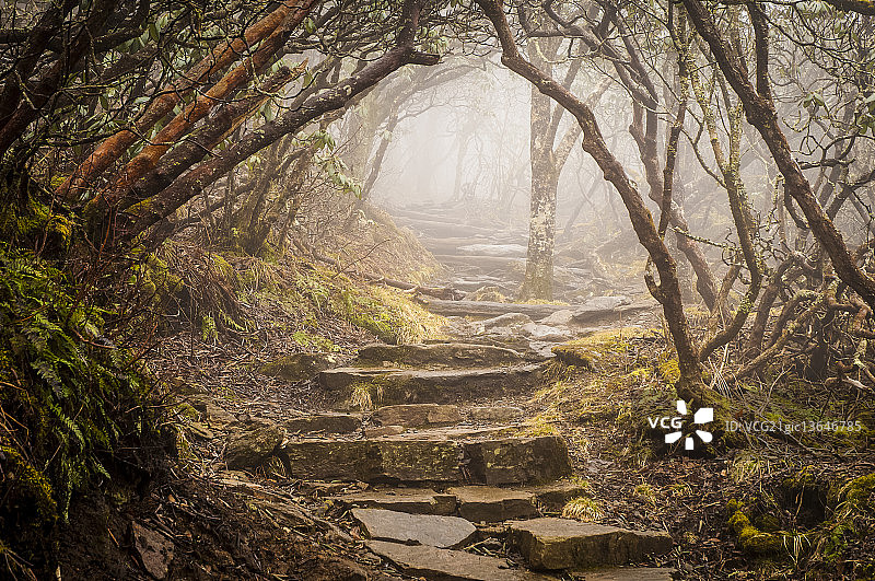 北卡崎岖山顶小径图片素材