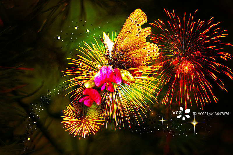 Alma Kerpauskiene摄影作品图片素材