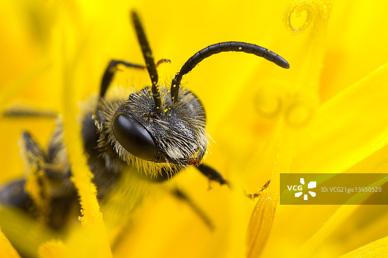 现在真是个难题！图片素材