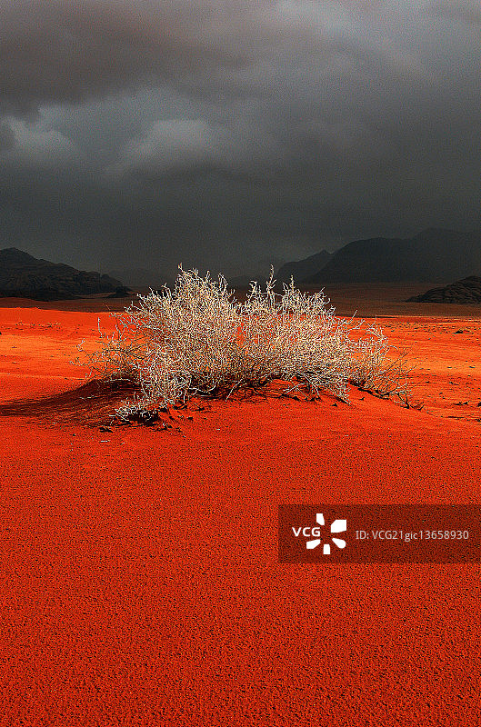 大德朗姆酒图片素材