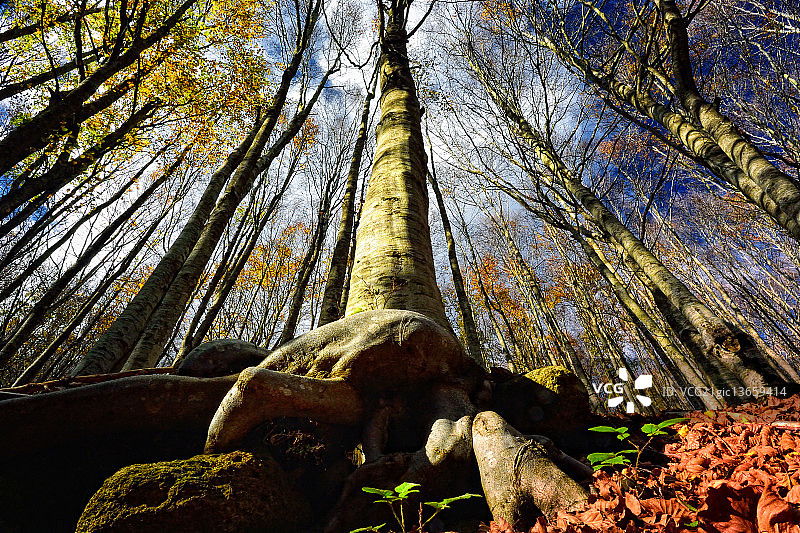 安德伍德图片素材