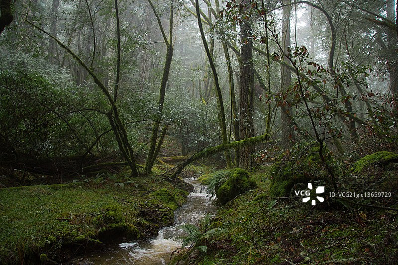 雨天的早晨，塔马尔帕伊斯山图片素材