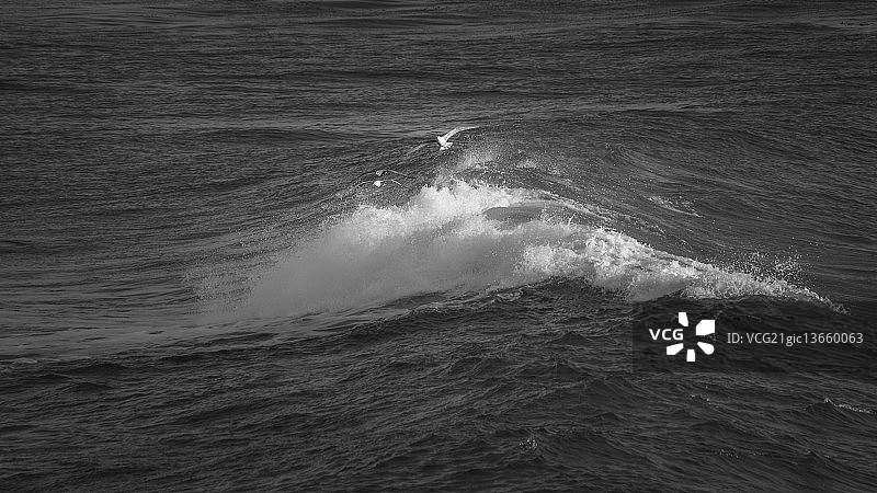 无标题的图片素材