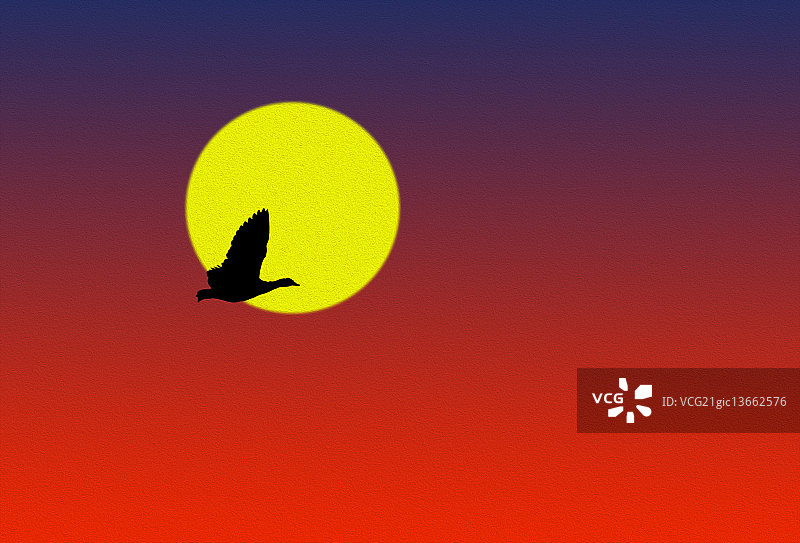 不要杀鸡取卵图片素材