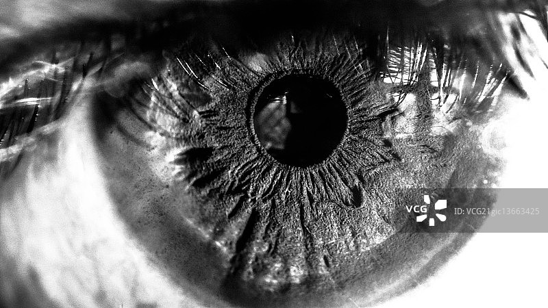 鸢尾花眼图片素材