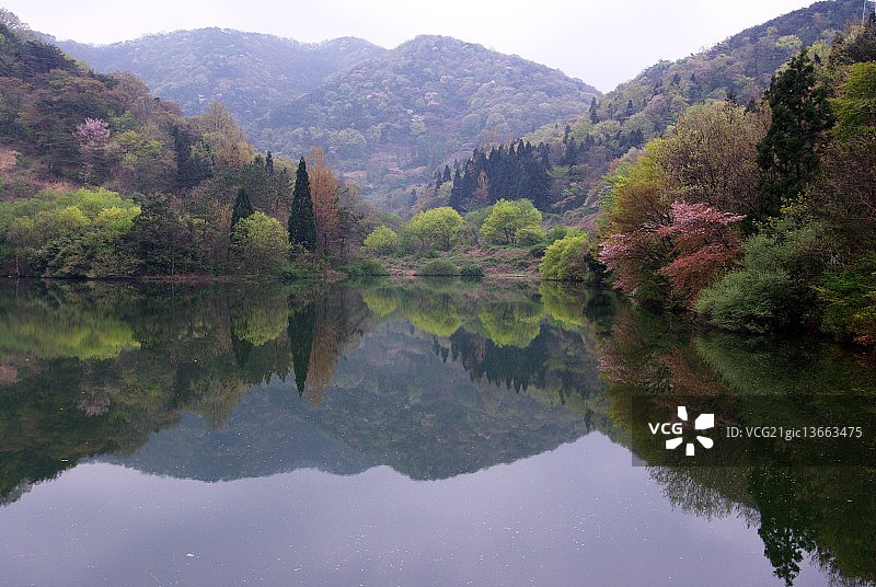 细粮水库倒影图片素材