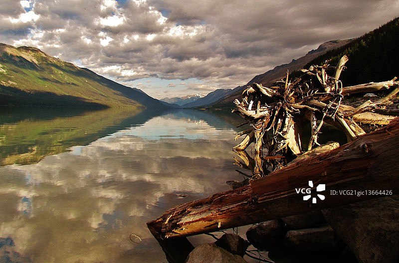 驼鹿湖图片素材