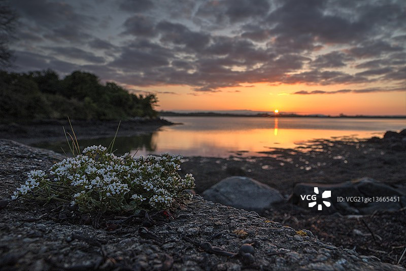 马希岛日落图片素材