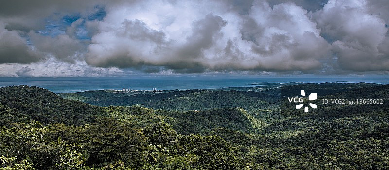 波多黎各森林图片素材